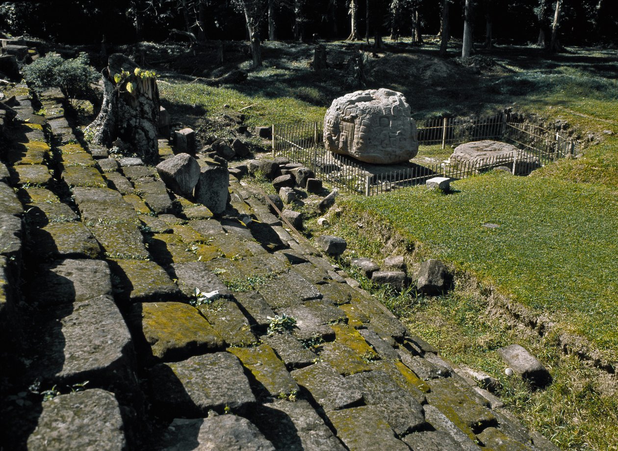 Altar Zoomórfico P de Mayan