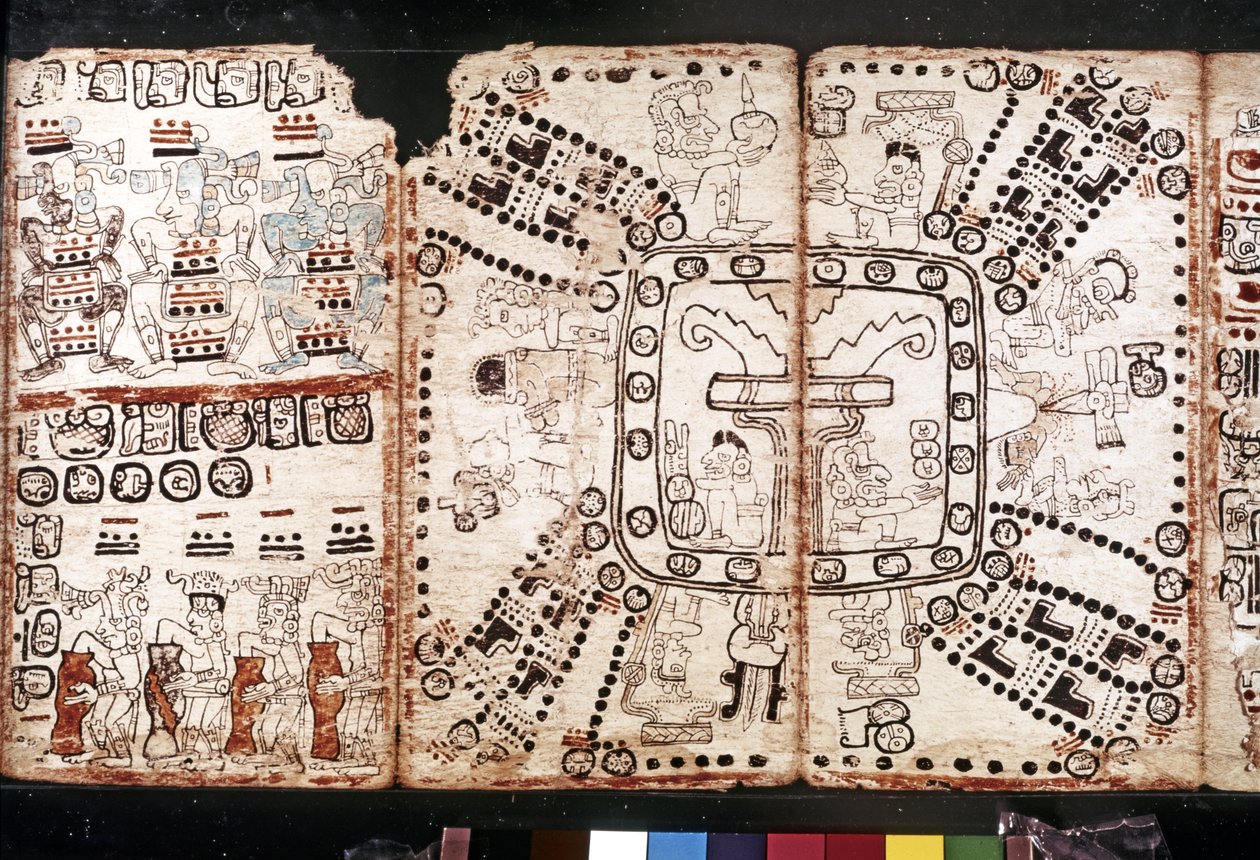 CIVILIZAÇÃO MAYA: Codex Tro-Cortesiano, meados do século XV (fibra de casca de árvore-vegetal) de Mayan Mayan