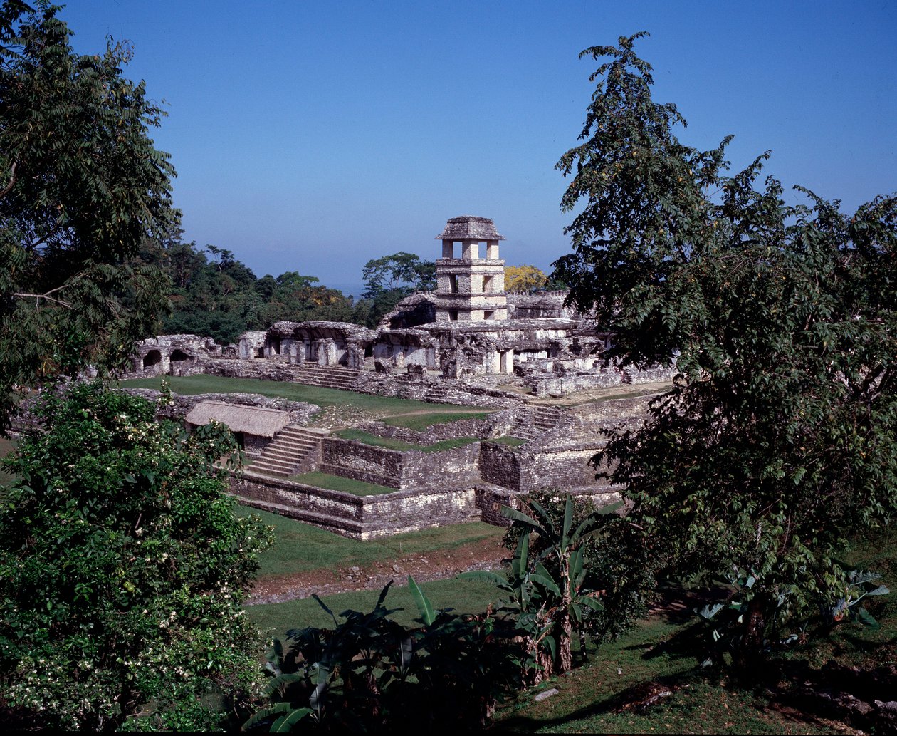 Civilização pré-colombiana: vista do site de Palenque no período Maiapas Clássico de Chiapas de Mayan Mayan