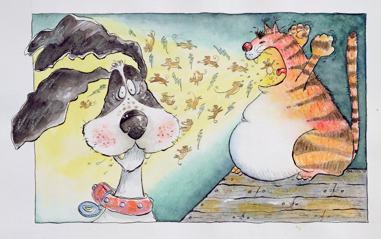 Gato, cão e rato, 1998 de Maylee Christie