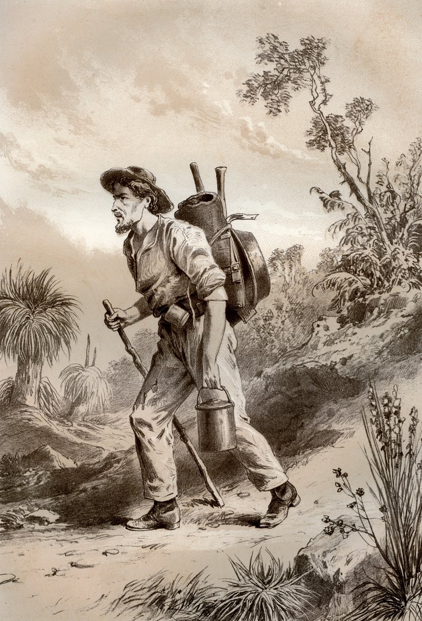 Coveiro no vagabundo, Austrália, 1879. de McFarlane and Erskine