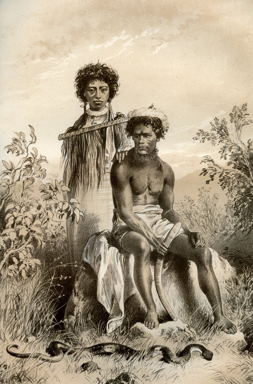 Maoris e serpente de tapete, Nova Zelândia, 1879 de McFarlane and Erskine