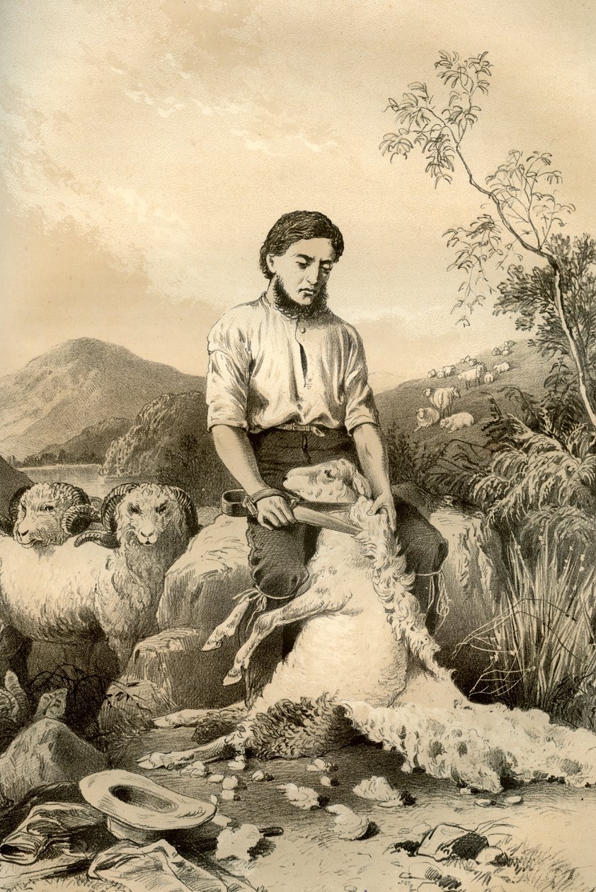 Tosquia de ovelhas, 1879 de McFarlane and Erskine