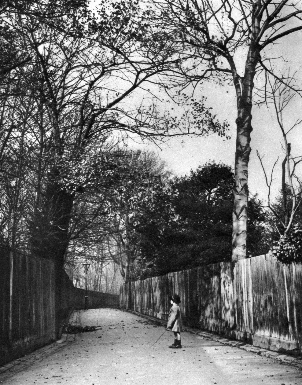 Tempo de outono em Holland Walk, Londres, 1926-1927. de McLeish