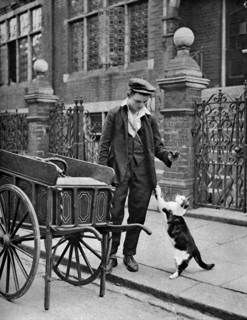 Homem de carne de gatos, Londres, 1926-1927 de McLeish