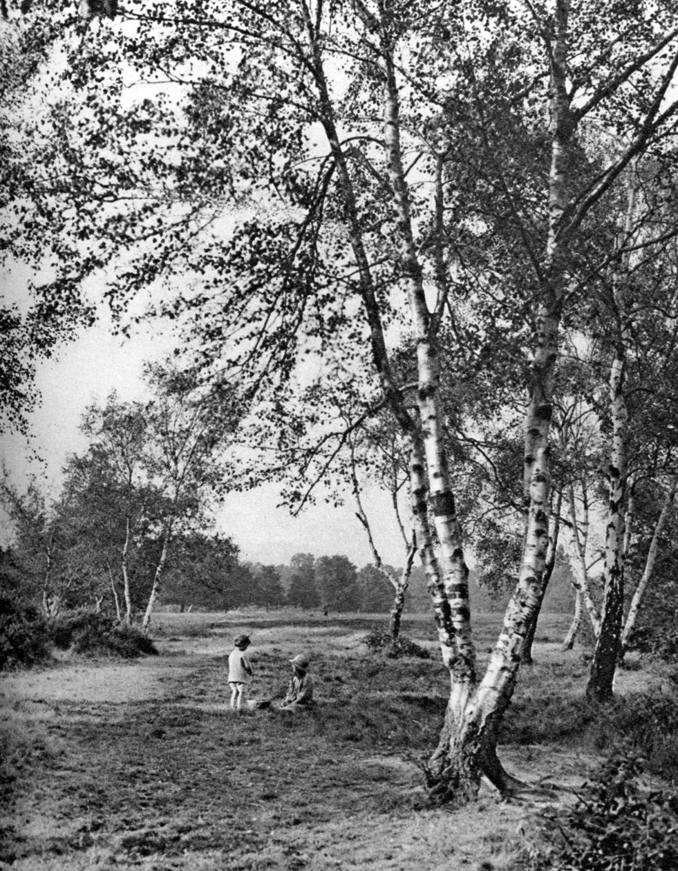 Putney Heath, Londres, 1926-1927 de McLeish