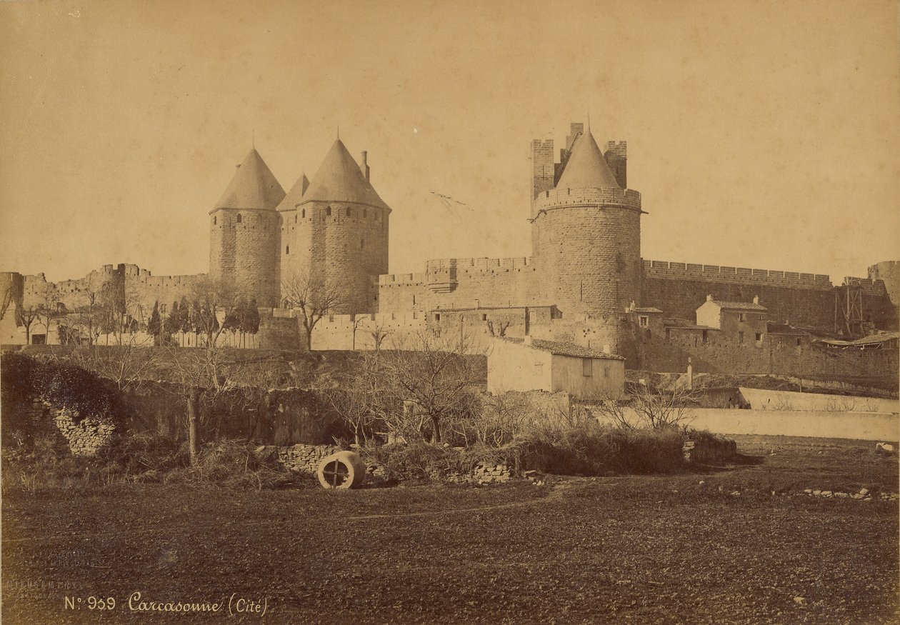 Carcassonne de Mederic Mieusement