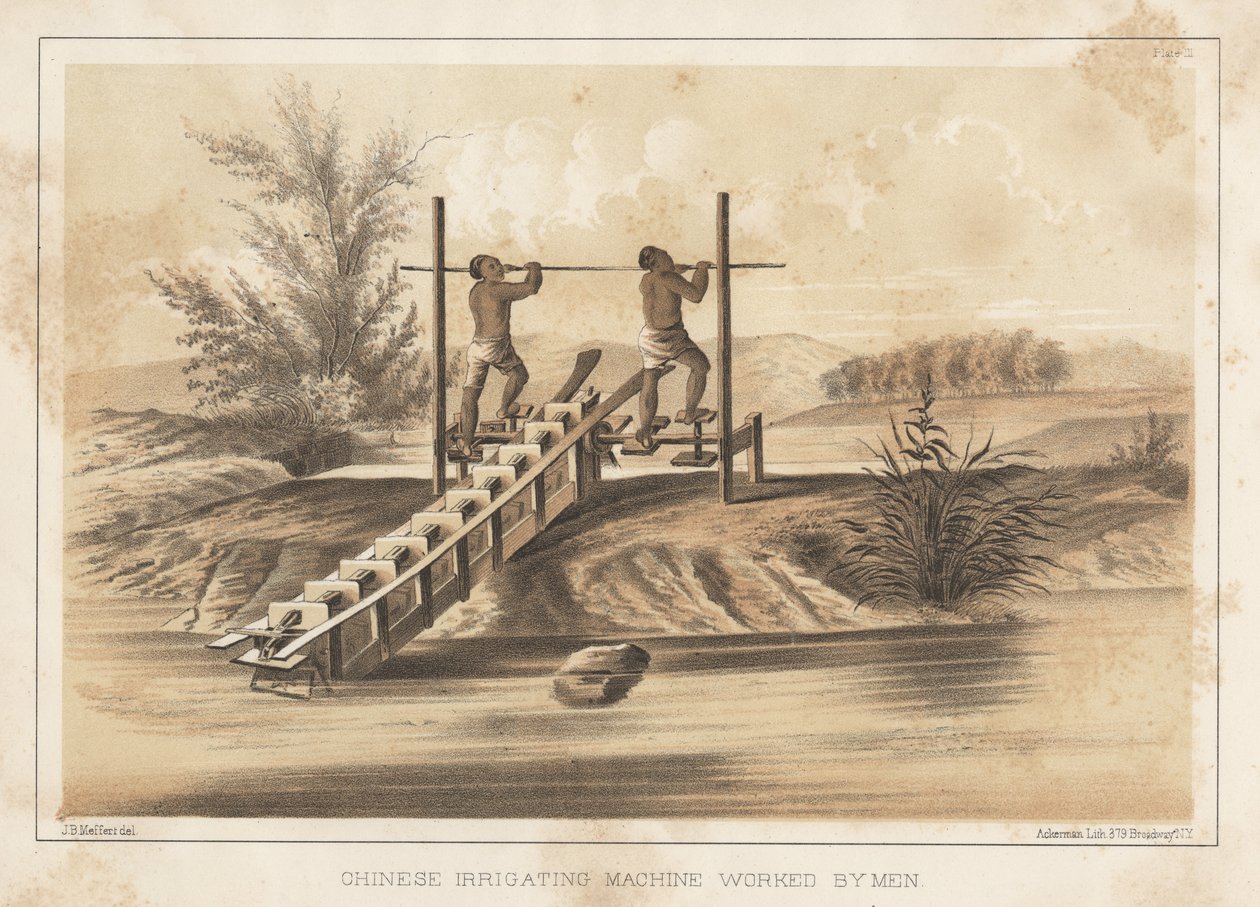 Máquina de Irrigação Chinesa Trabalhada por Homens, 1855 de Meffert