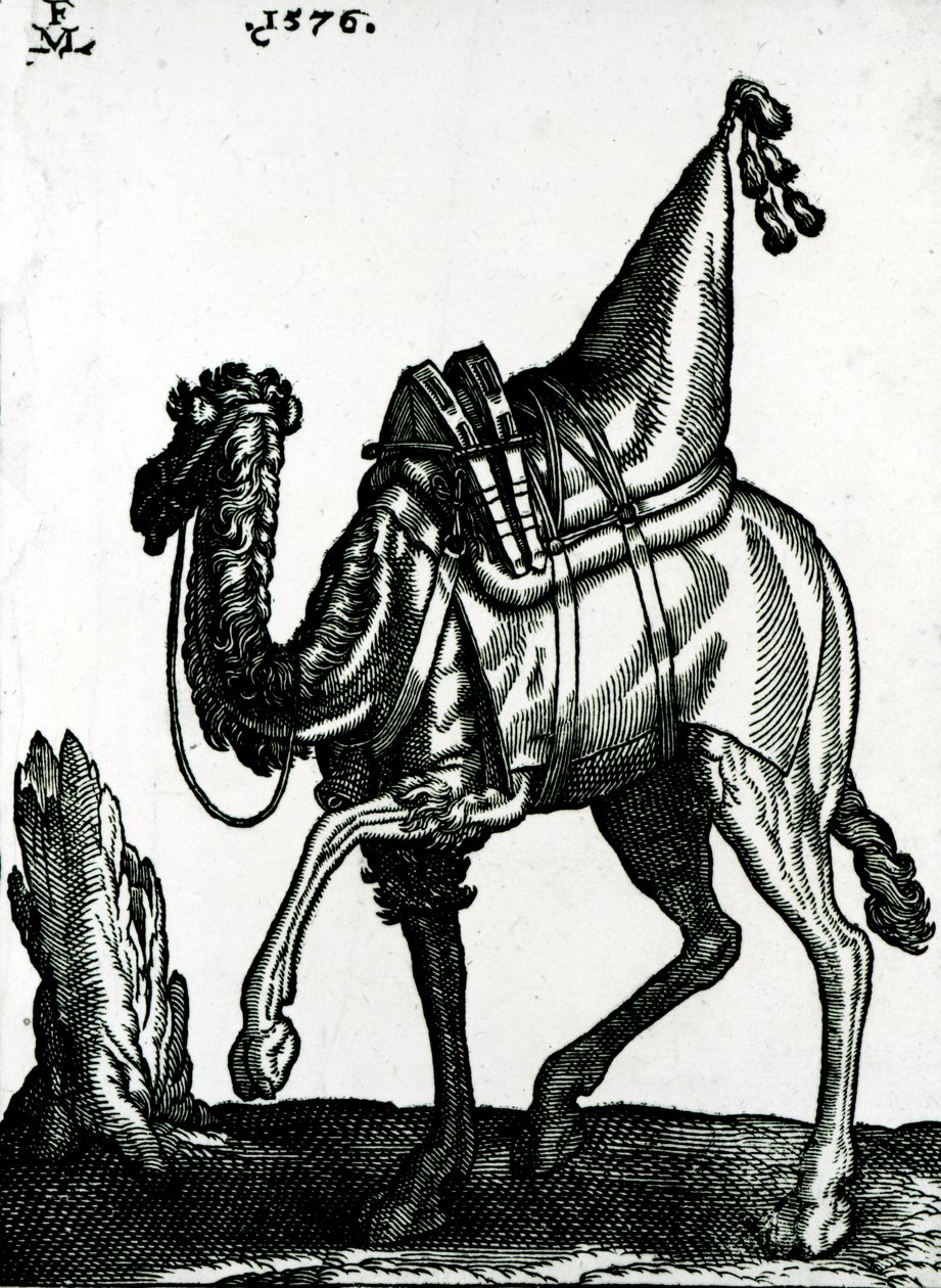 Camelo (xilogravura) de Melchior Lorck