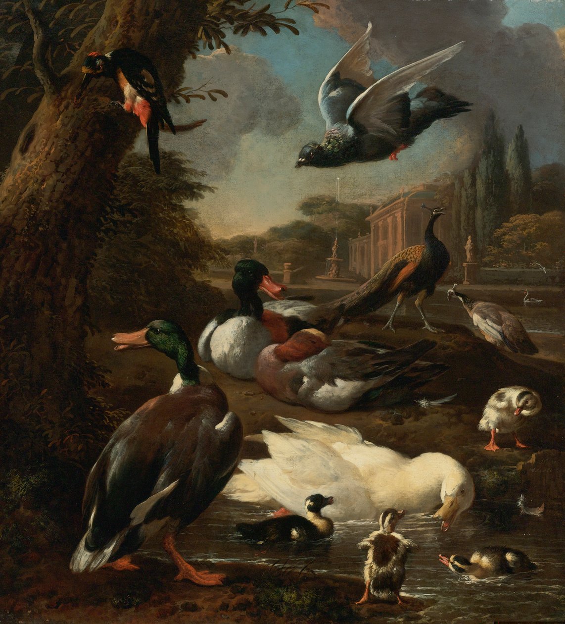 Um pavão, pombo, patos e outras aves em um cenário de jardim de Melchior de Hondecoeter