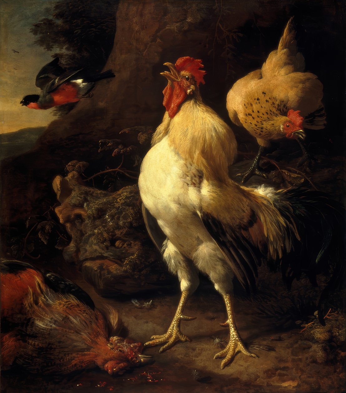 M. de Hondecoeter, Galo vitorioso de Melchior de Hondecoeter