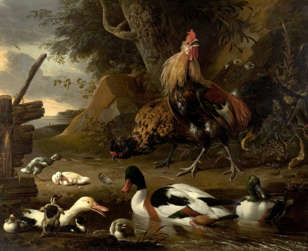 Duas galinhas e patos em uma lagoa de Melchior de Hondecoeter