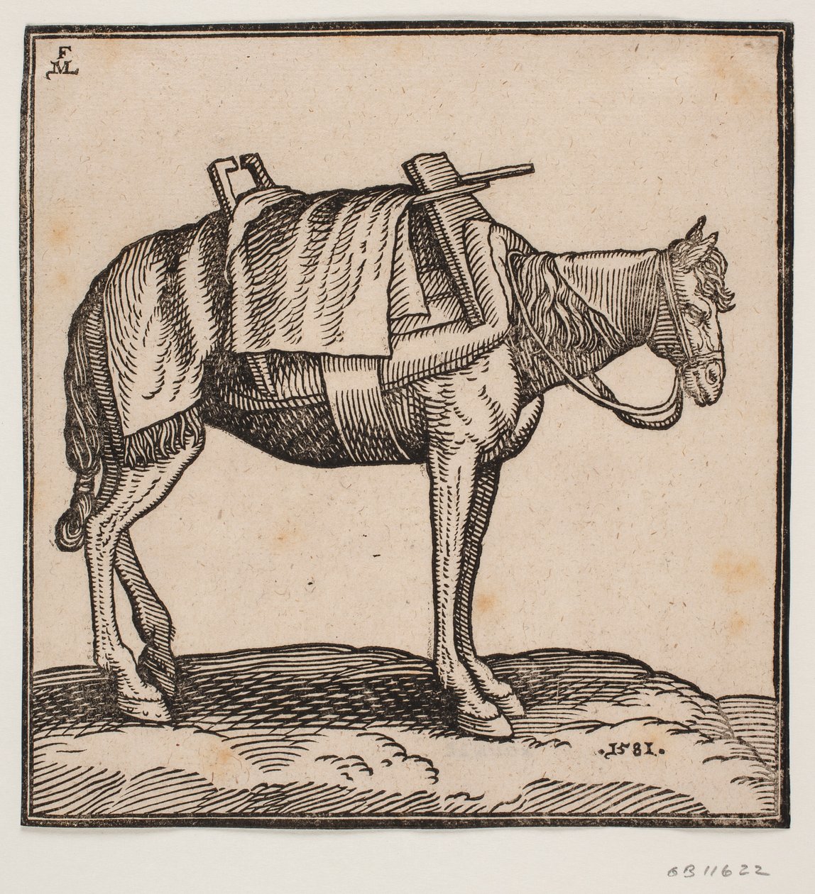 Um cavalo de transporte selado de Melchior Lorck