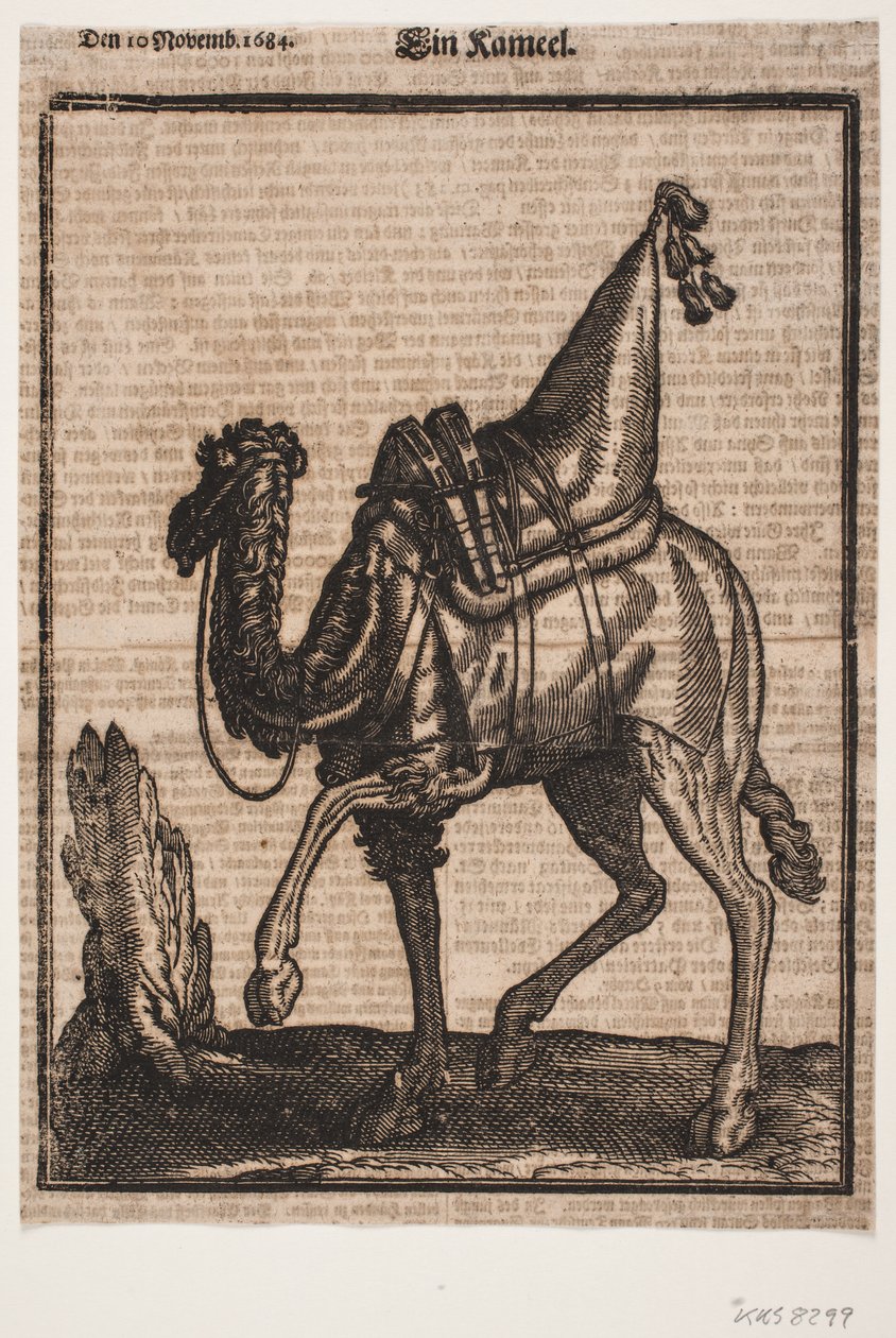 Um dromedário selado, perfil para a esquerda, com a cabeça do animal virada para longe do dono de Melchior Lorck