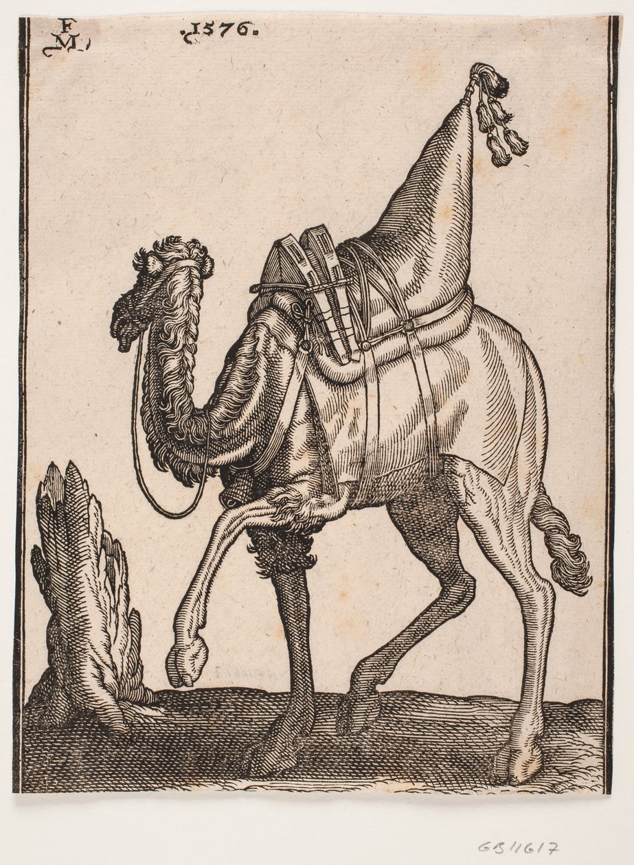 Um dromedário selado, perfil para a esquerda, com a cabeça do animal virada para longe do dono de Melchior Lorck
