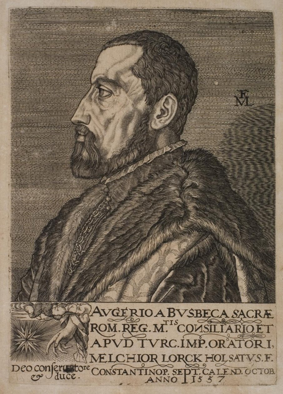 Retrato de Ogier Ghiselin de Busbecq, enviado imperial. de Melchior Lorck