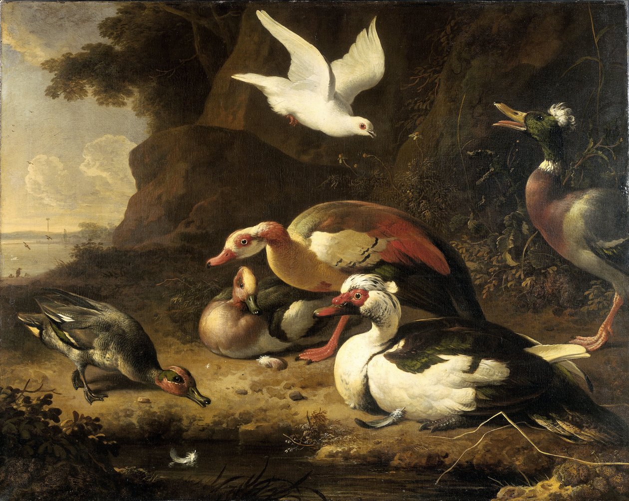 Patos de Melchior d