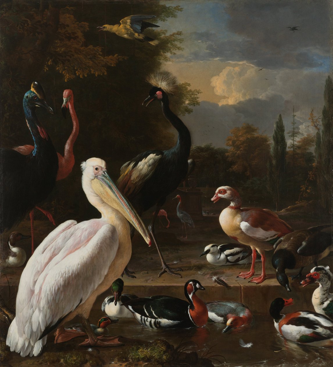 Um pelicano e outras aves em uma bacia de água, conhecida como &39;A pena flutuante&39; de Melchior dHondecoeter