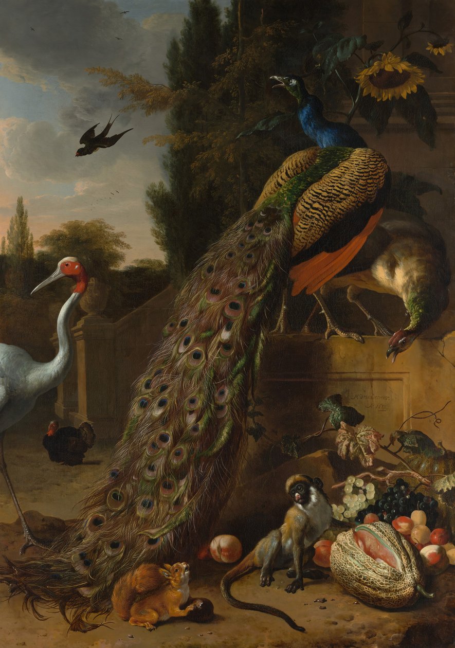 Pavões, 1683. de Melchior d