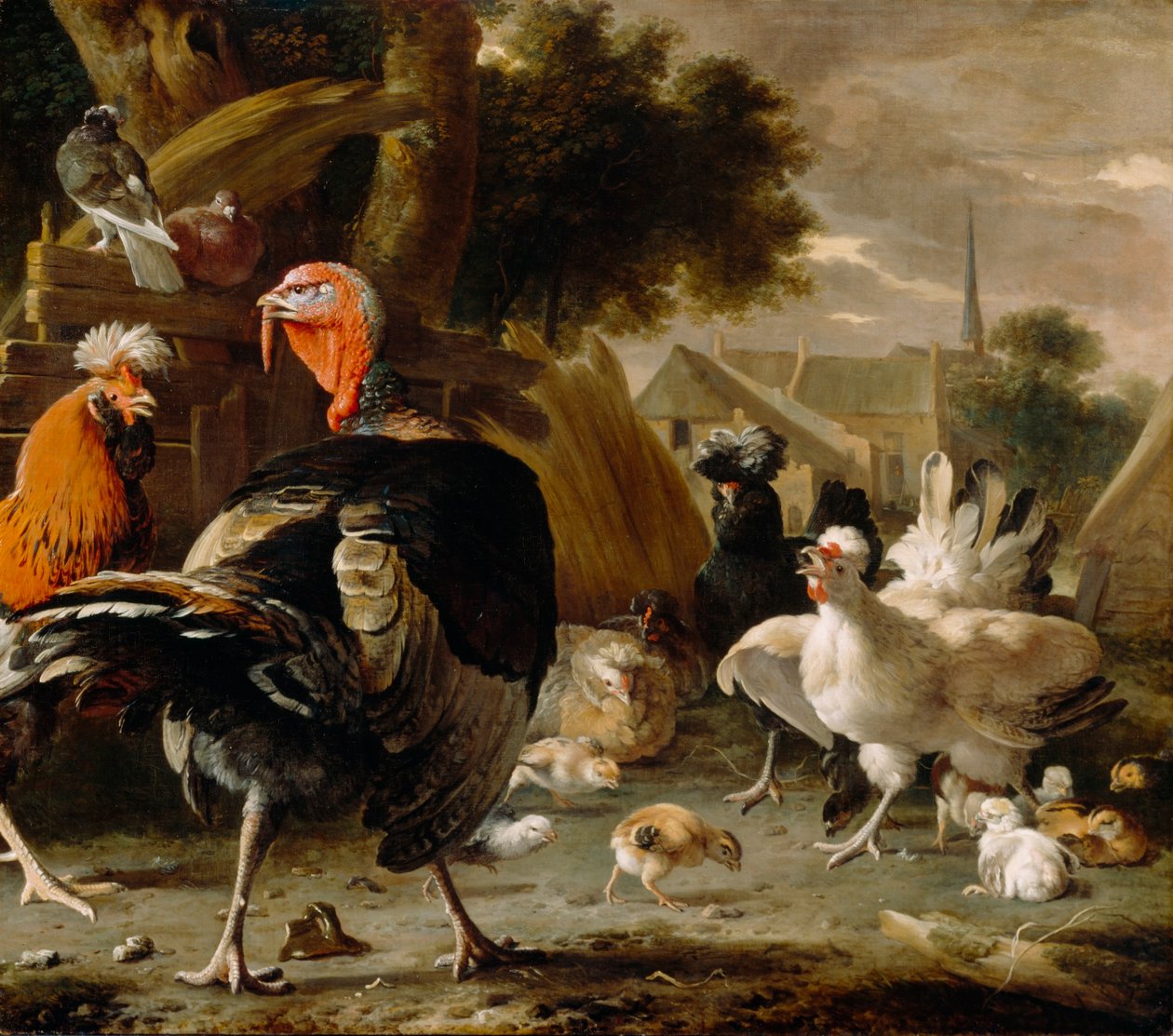 Pátio de aves de capoeira de Melchior d