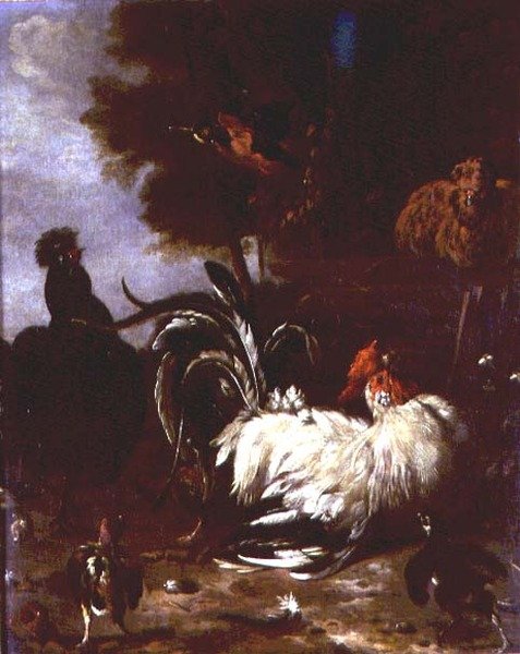 Cockerel e outras aves de capoeira em paisagem arborizada de Melchior de (follower of) Hondecoeter