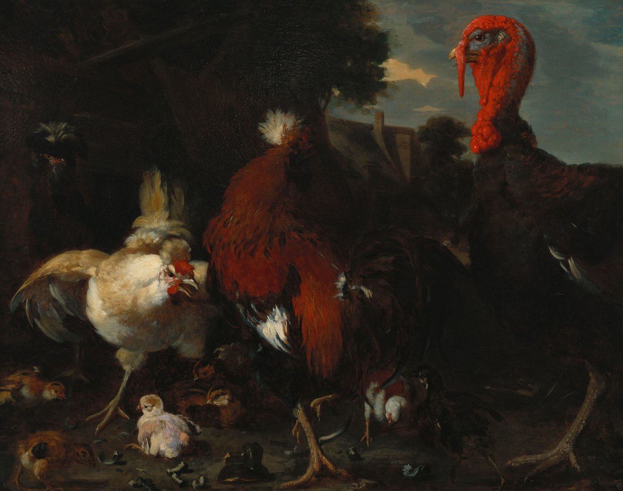 Uma galinha, galo e Turquia em um pátio de Melchior de Hondecoeter