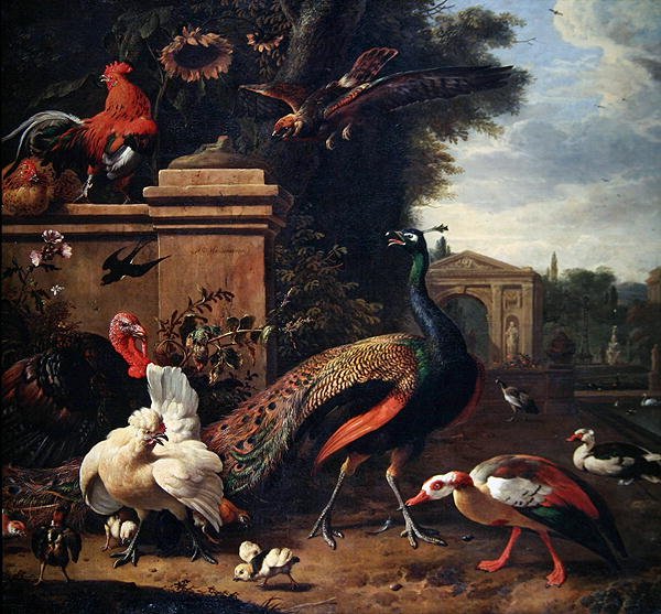 Um pavão, um falcão e várias aves e patos num parque (óleo sobre tela) de Melchior de Hondecoeter