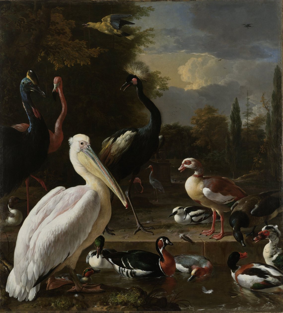Um pelicano e outras aves perto de uma piscina, conhecida como "A Pena Flutuante", c.1680 de Melchior de Hondecoeter