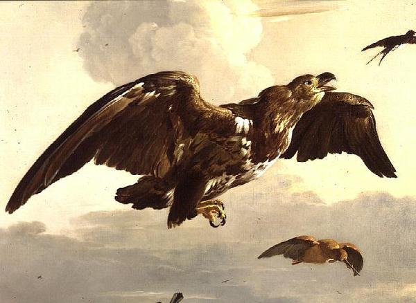 Uma Águia e uma Andorinha em Vôo de Melchior de Hondecoeter