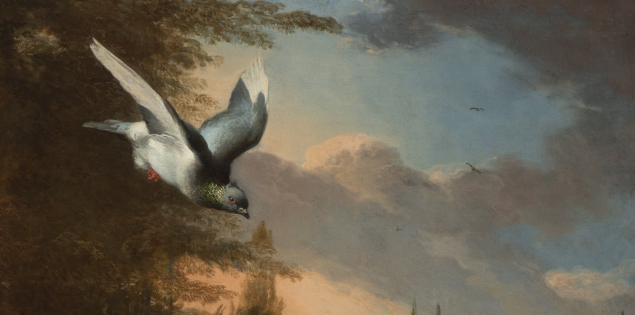 Detalhe de Menagerie, c.1680 (óleo sobre tela) de Melchior de Hondecoeter
