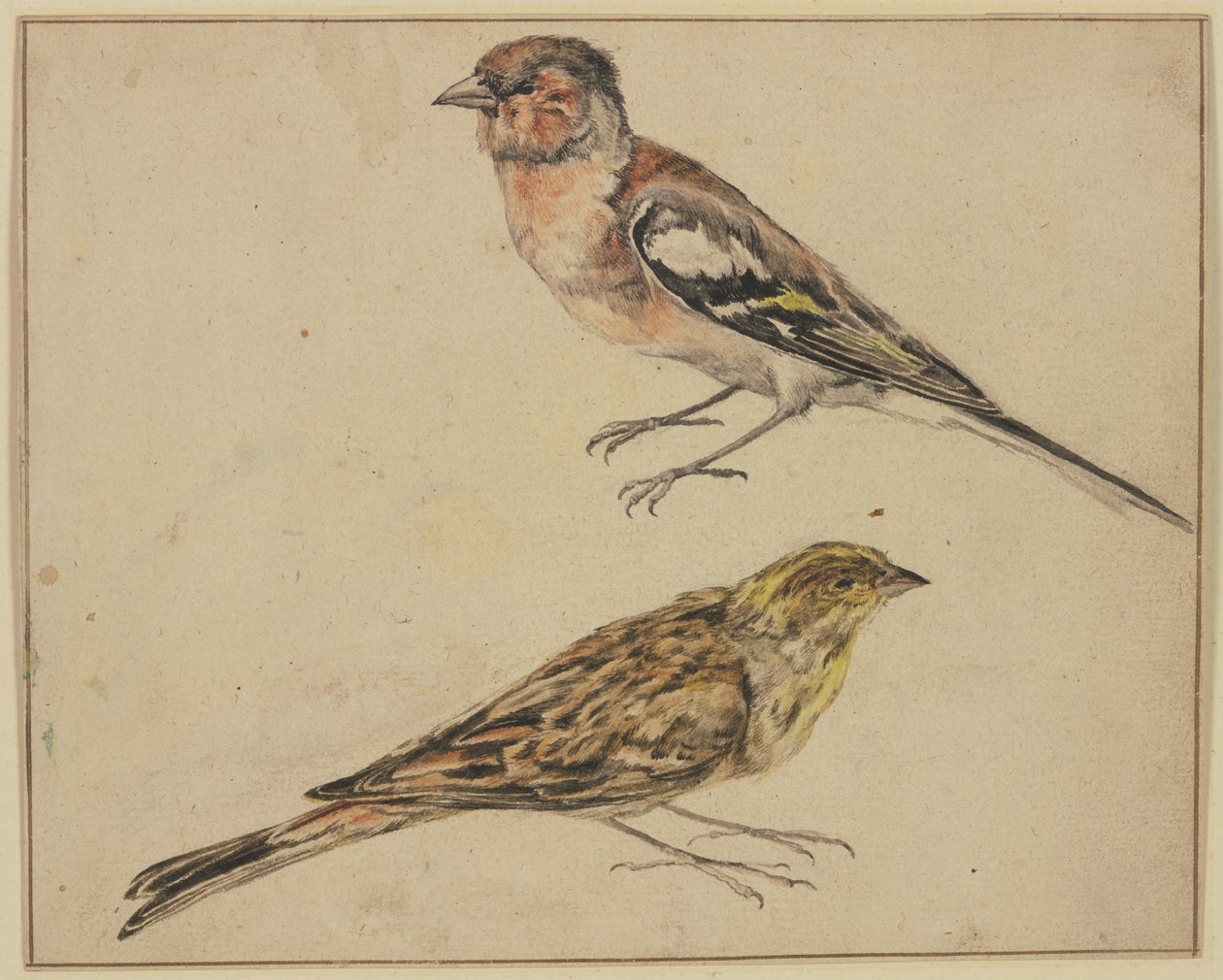 Um pintassilgo e um pintarroxo de Melchior de Hondecoeter