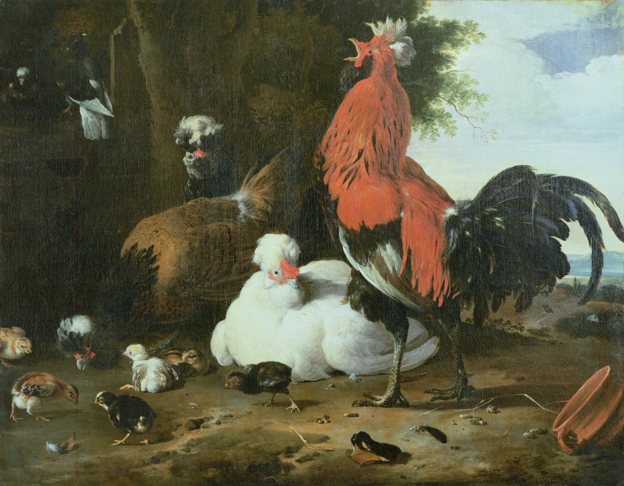 Aves de capoeira com pombos de Melchior de Hondecoeter