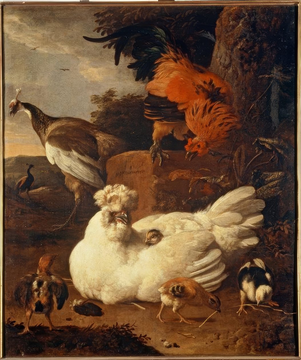 M. de Hondecoeter, bebê com filhotes de Melchior de Hondecoeter