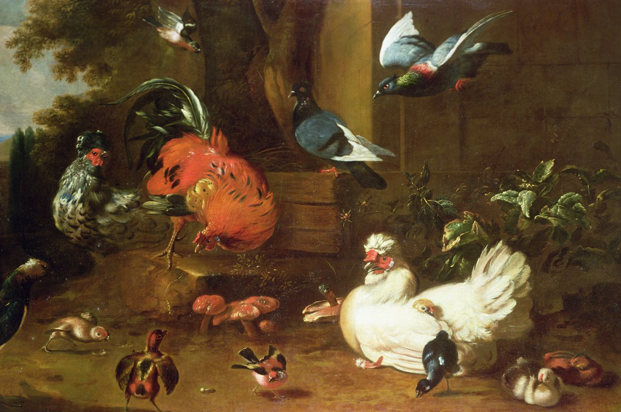 Aves em Parkland de Melchior de Hondecoeter