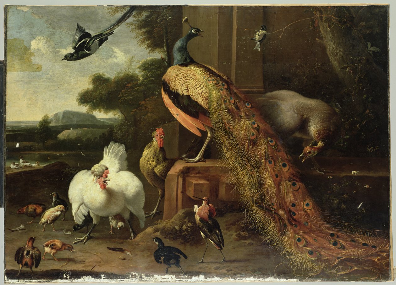 Revolta no golpe de aves de Melchior de Hondecoeter