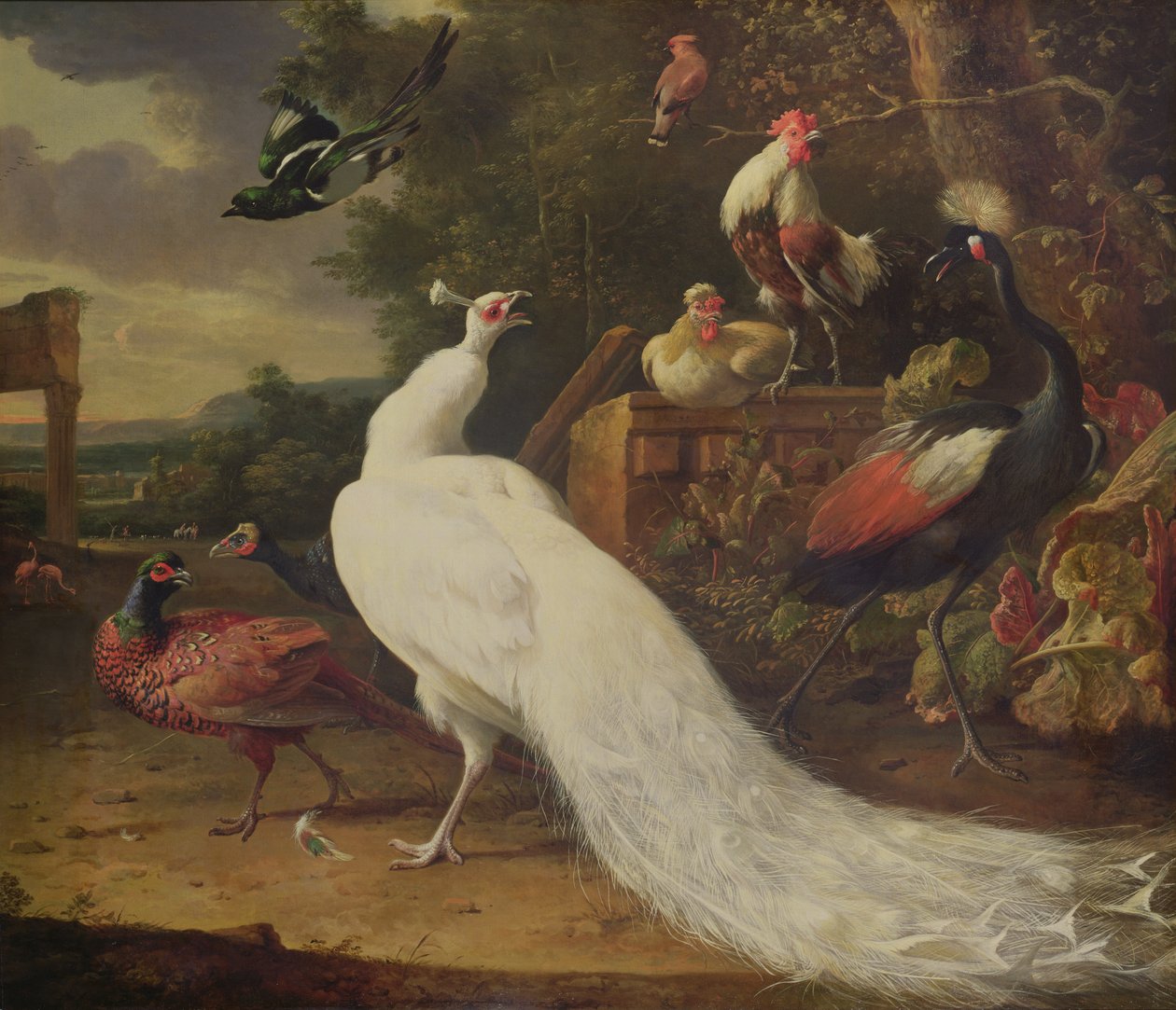 O pavão branco de Melchior de Hondecoeter