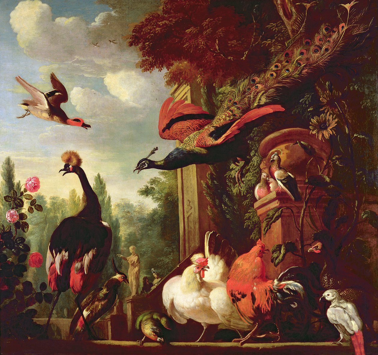Imagem desconhecida de Melchior de Hondecoeter