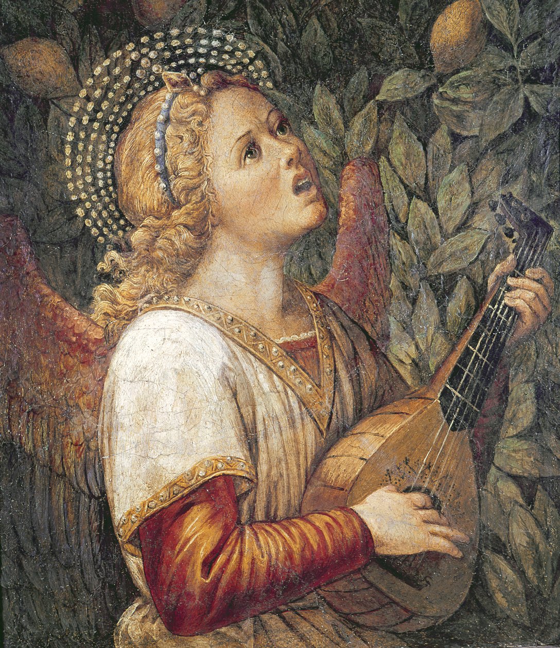 Músico Anjo de Melozzo da Forli