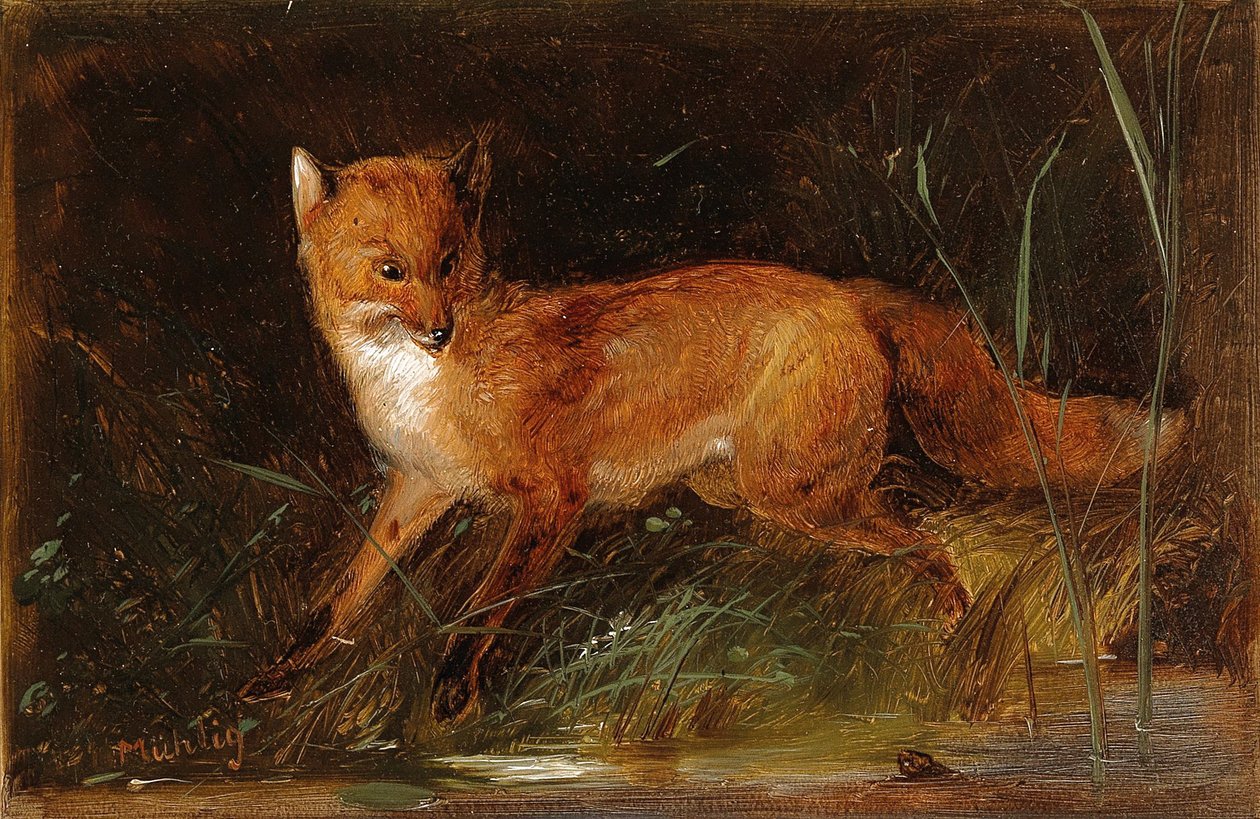 Meno Mühlig Fuchs de Meno Muhlig