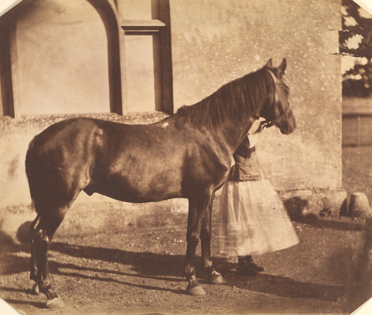 Sultão, meados da década de 1850. de Mervyn Herbert Nevil Story Maskelyne