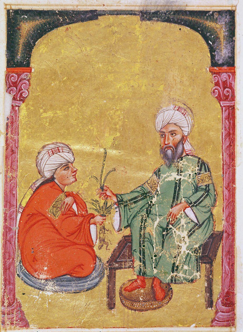 Ahmet III, 2127 Ilustração de &39;De Materia Medica&39; por Dioscorides de Mesopotamian
