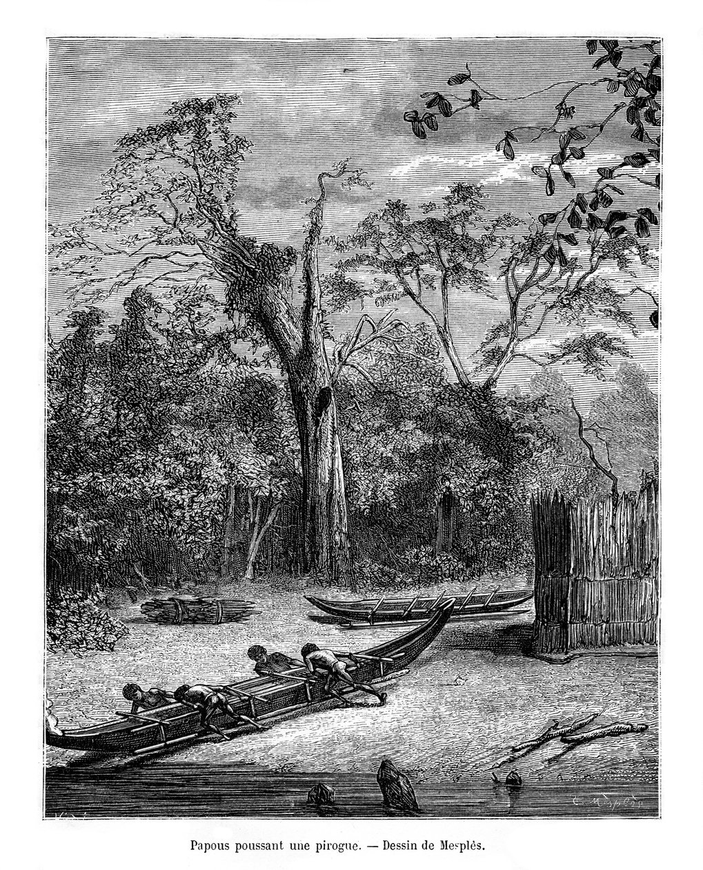 paisagem de Mesples