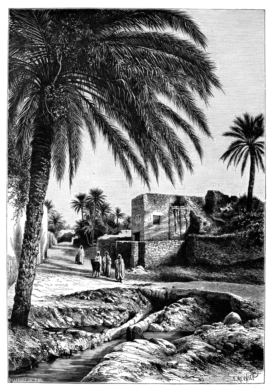 Uma rua em Biskra, Argélia, 1895. de Meunier