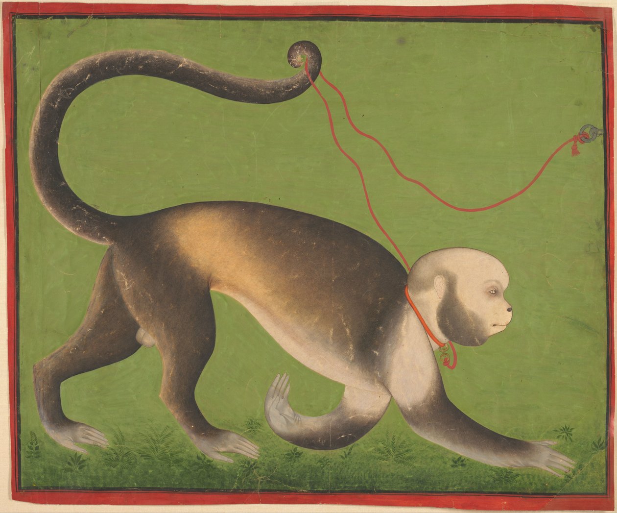 Um retrato monumental de um macaco de Mewar India; Rajasthan