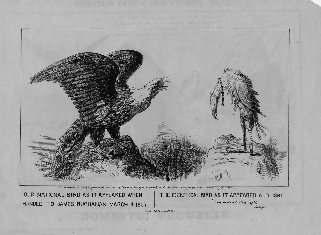Nosso pássaro nacional, publicado em 1861 de Michael Angelo Woolf