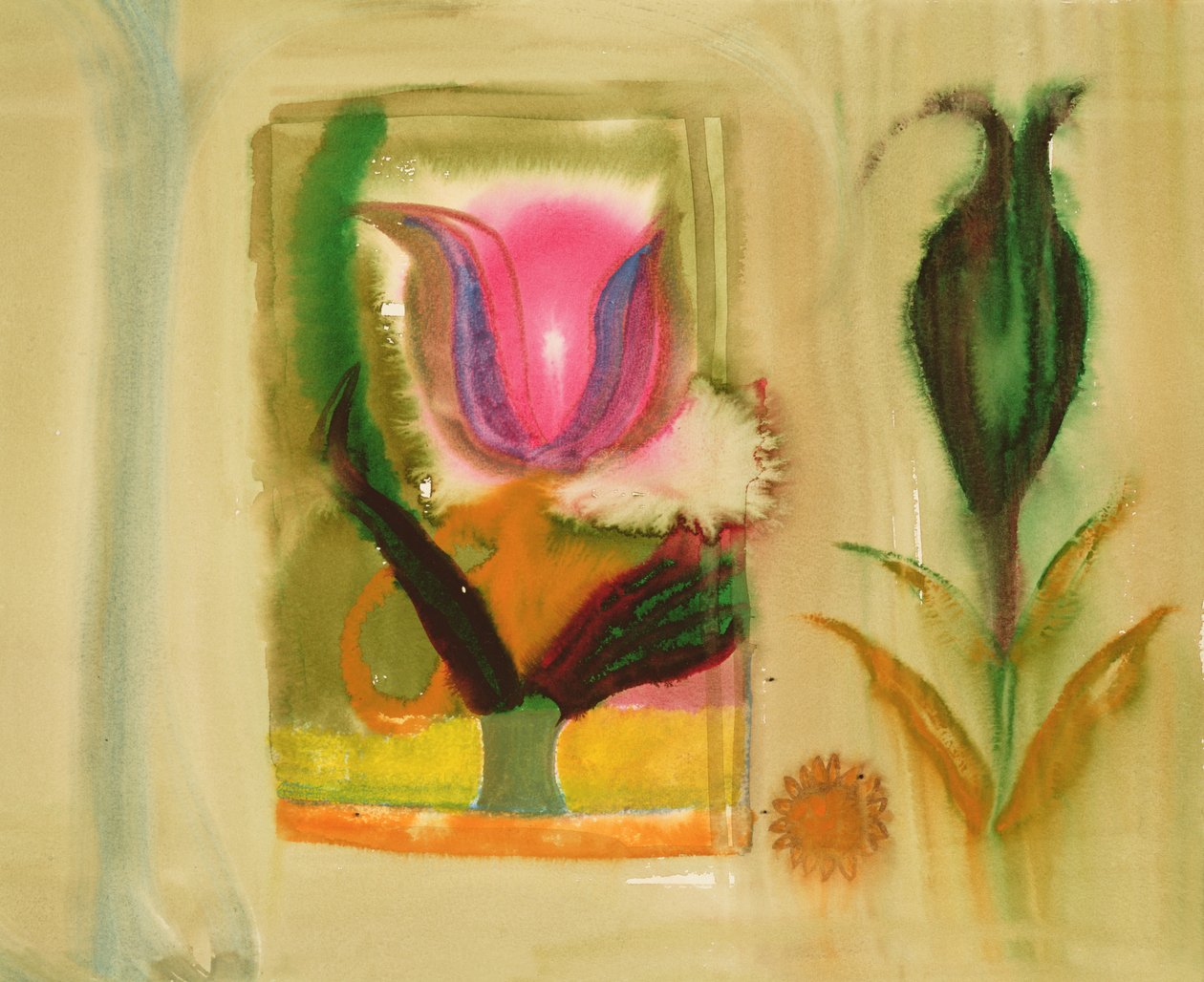 Explosão de flor de Michael Chase
