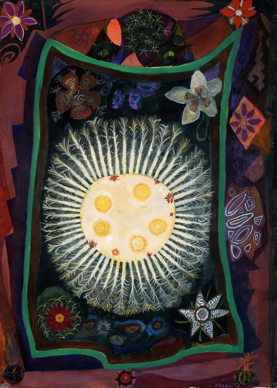 Homenagem a Echincactus, 1999 (wc no papel) de Michael Chase