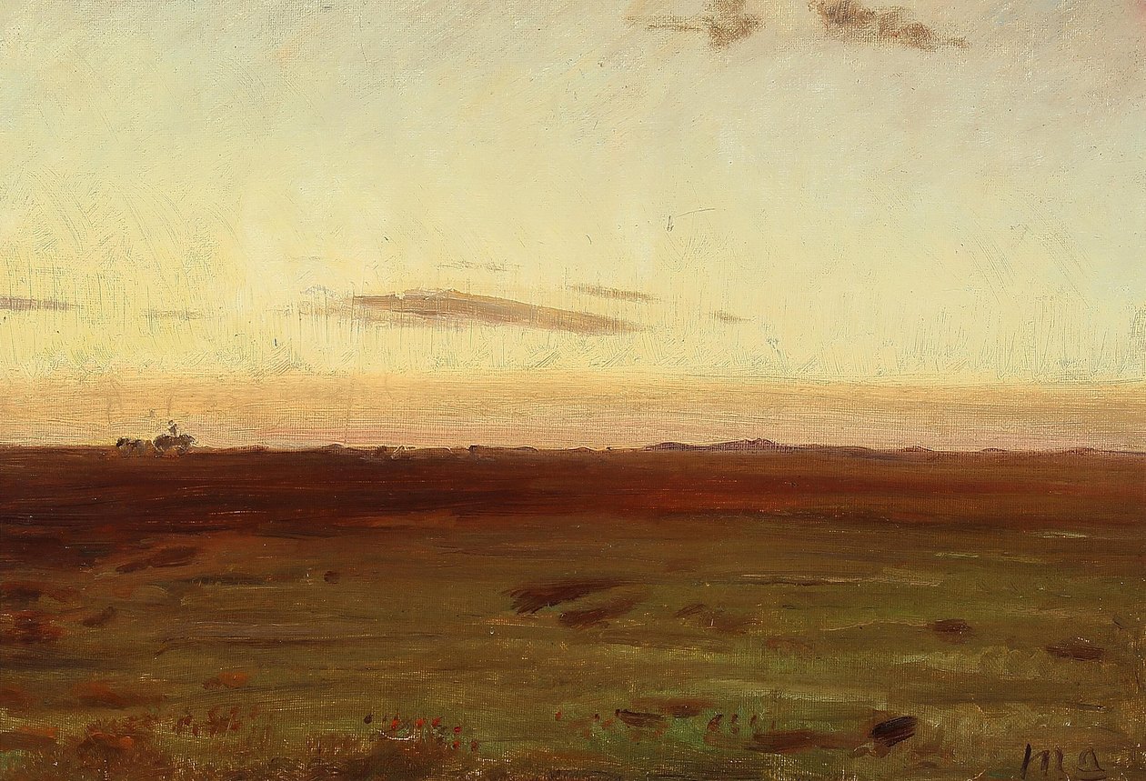 Vista do prado e das dunas ao sol da tarde. de Michael Peter Ancher
