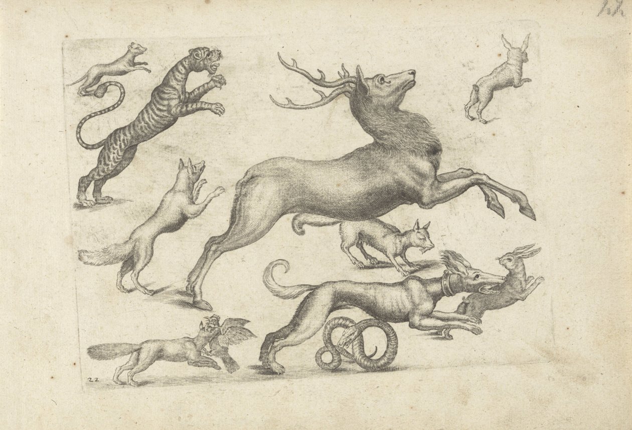 Folha de estudo com exemplos de desenho: vários animais de Michael Snijders (attributed to)