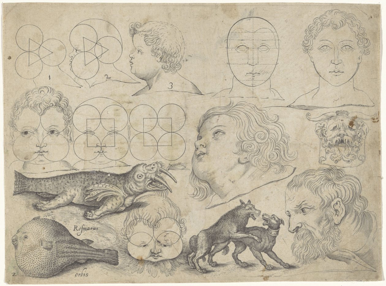 Folha de estudo com exemplos de desenhos: figuras, animais Exemplos de desenho (título da série) de Michael Snijders